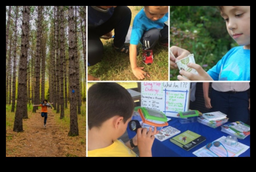 Little Explorer: Ενθάρρυνση της περιέργειας στο μωρό