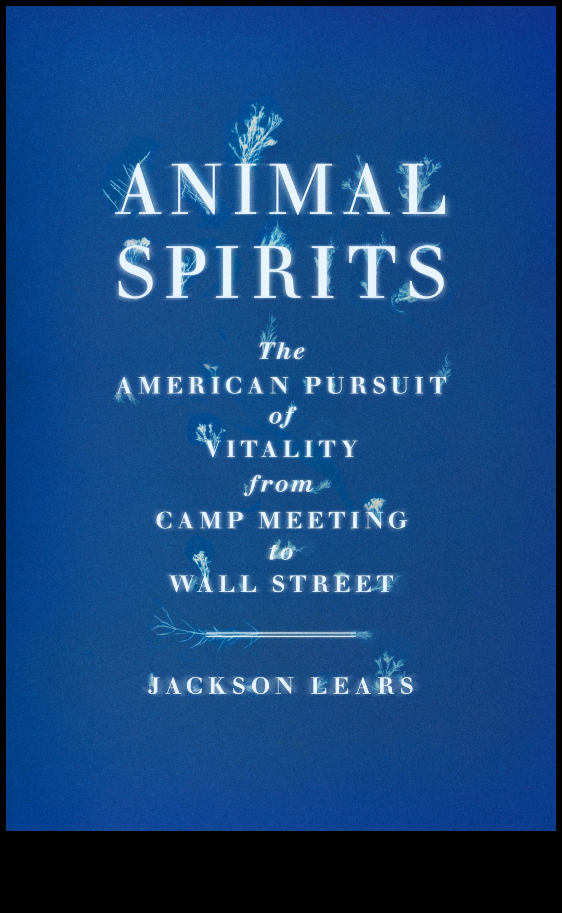 Zero Gravity Zen: Finding Serenity in the Weightless Abyss