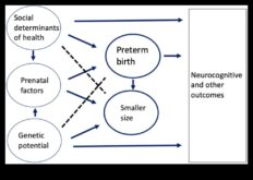 Nature’s Nurturer Μια ολιστική προσέγγιση στην ανάπτυξη του βρέφους