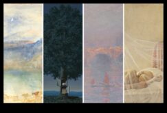 Η τέχνη της ημιδιαφάνειας που συλλαμβάνει το φως στα σχέδια της ζωής