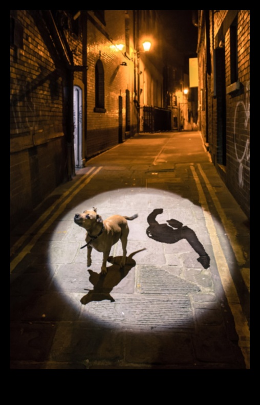 Streets and Shadows: Playing with Light in City Drawings