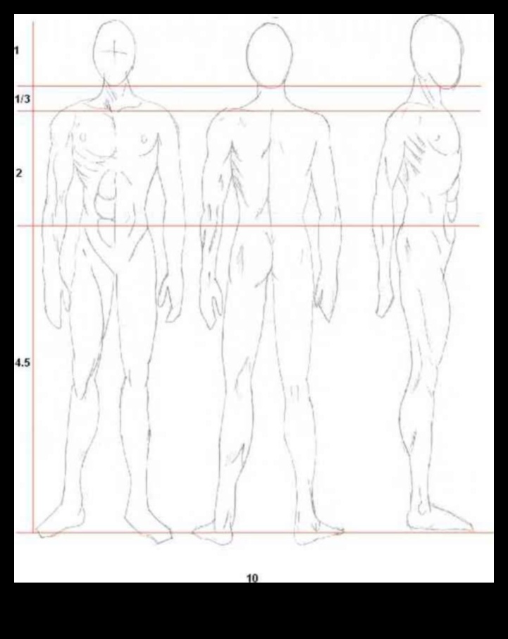 Anatomy of Anime: Mastering Proportions in Character Design