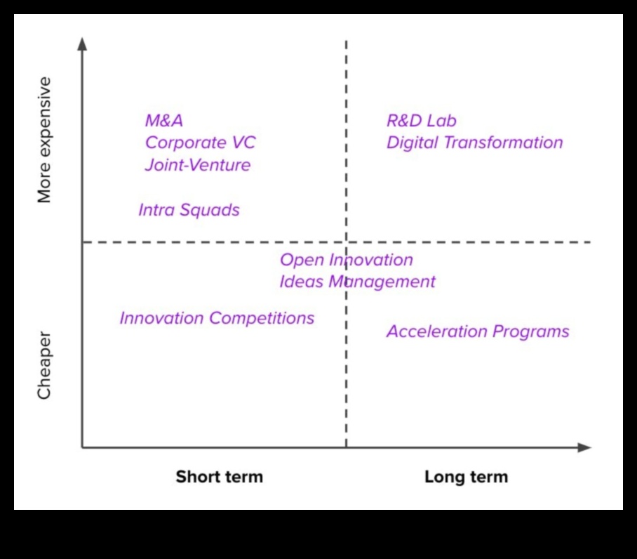 Beyond Traditional Boundaries: Innovations in Business Operations