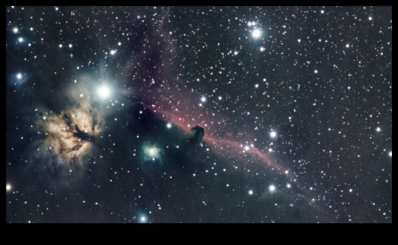 Astronomy Awe: The Beauty of the Night Sky