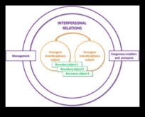 Διαθεματικές εμπνεύσεις όταν η τέχνη καταρρίπτει τα πειθαρχικά όρια