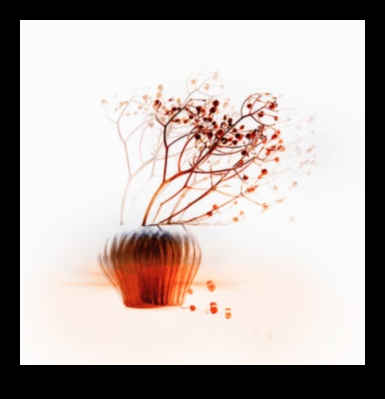 Ephemeral Beauty: The Art of Drawing Still Life Στιγμές