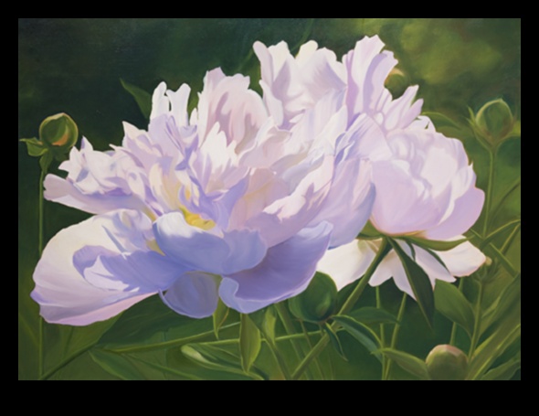 Ephemeral Beauty: The Art of Drawing Still Life Στιγμές