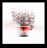 Ephemeral Beauty Η τέχνη του σχεδίου στιγμών νεκρής φύσης