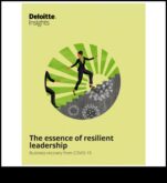 The Business Sages Insights από ηγέτες που πλοηγήθηκαν στο αναπτυξιακό ταξίδι