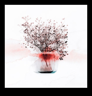 Ephemeral Beauty: The Art of Drawing Still Life Στιγμές