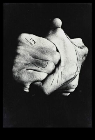 Performance Art Portraits The Body as Canvas and Subject