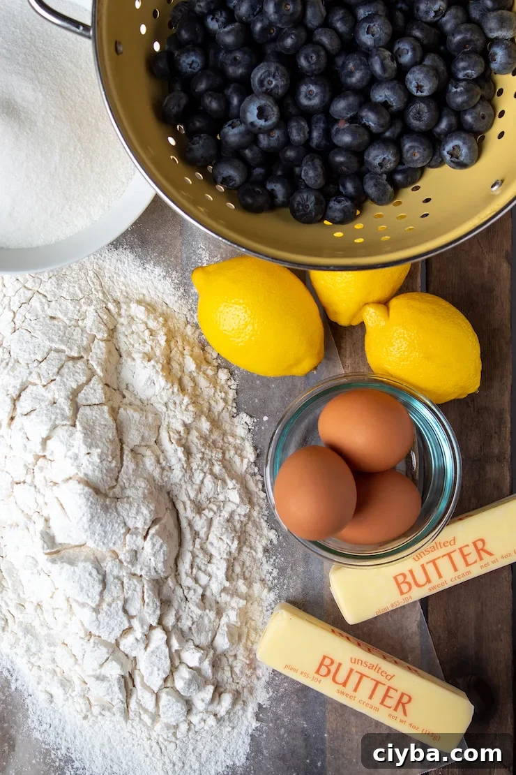 Ingredients photo, sifted flour, sugar, blueberries, lemons, eggs and butter.