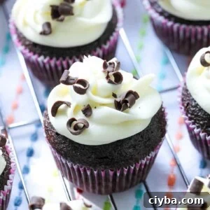 chocolate cupcakes topped with cream cheese frosting