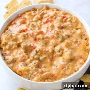 rotel dip