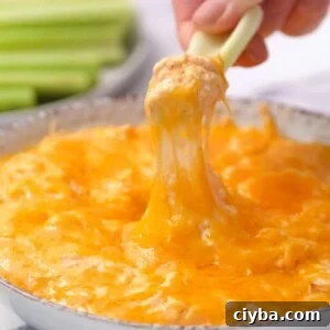 buffalo chicken dip