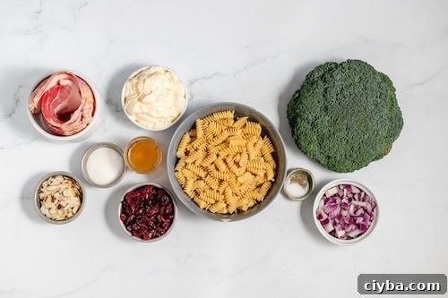 ingredients shot for broccoli pasta salad