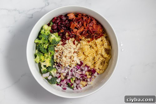 main ingredients of broccoli pasta salad in a bowl