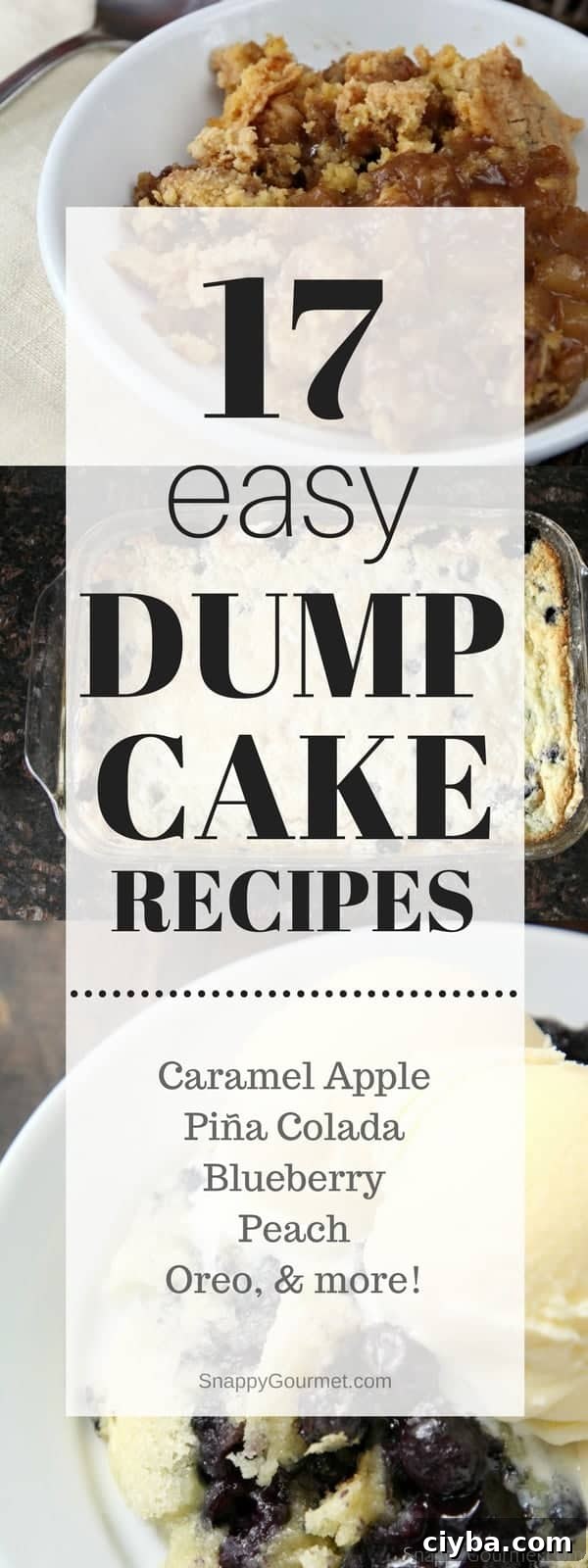 17 Simple Dump Cake Recipes for Quick, Delicious Desserts 3 17 Easy Dump Cake Recipes