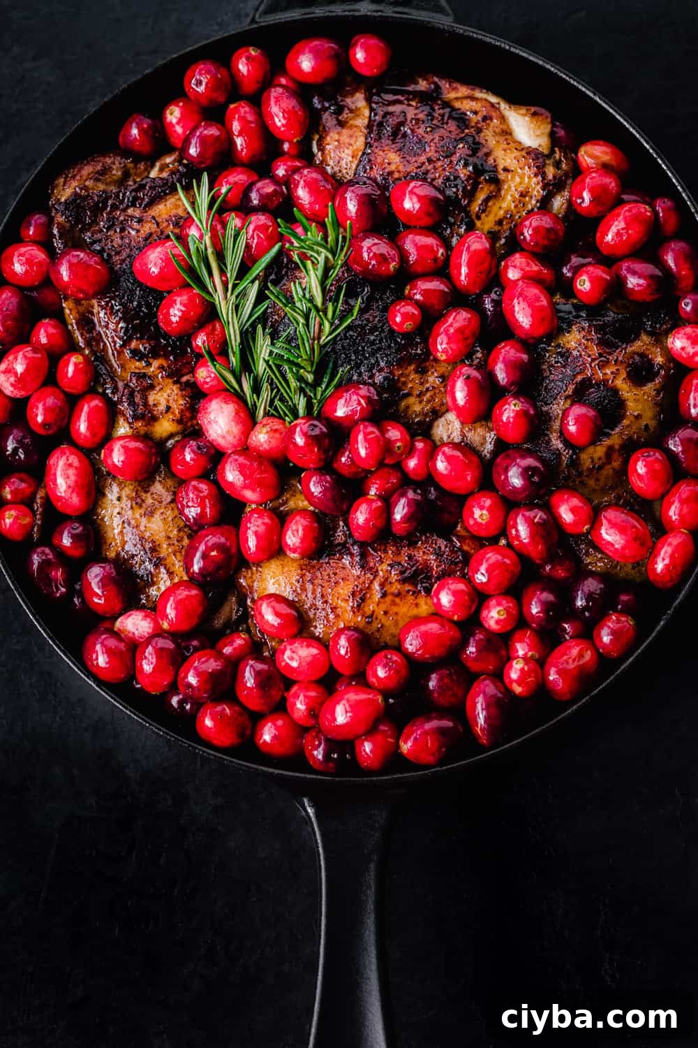 cranberry chicken pre-oven, in process shot - seared chicken in cast iron skillet with fresh cranberries; overhead shot on black background.