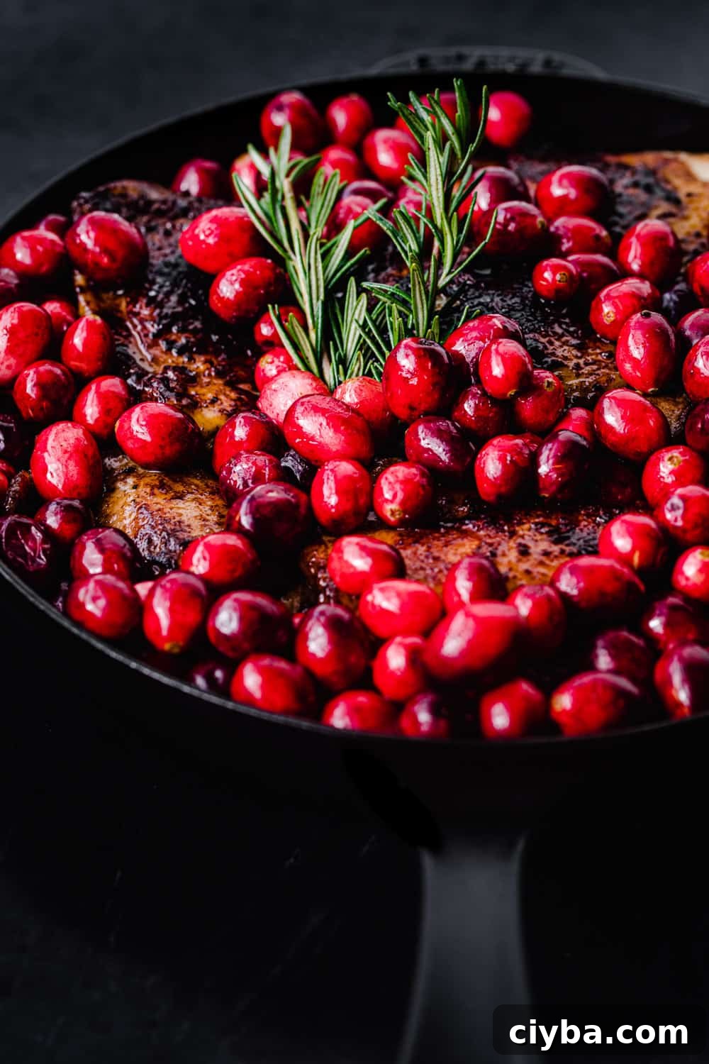 cranberry chicken pre-oven, in process side angle shot - seared chicken thighs skillet with fresh cranberries and rosemary.