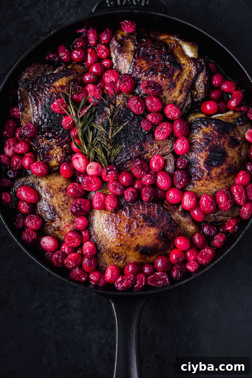 cranberry chicken in a skillet, post oven and all done! Overhead shot on a black background.
