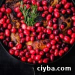 cranberry chicken pre-oven, in process shot - seared chicken in cast iron skillet with fresh cranberries; overhead shot on black background.