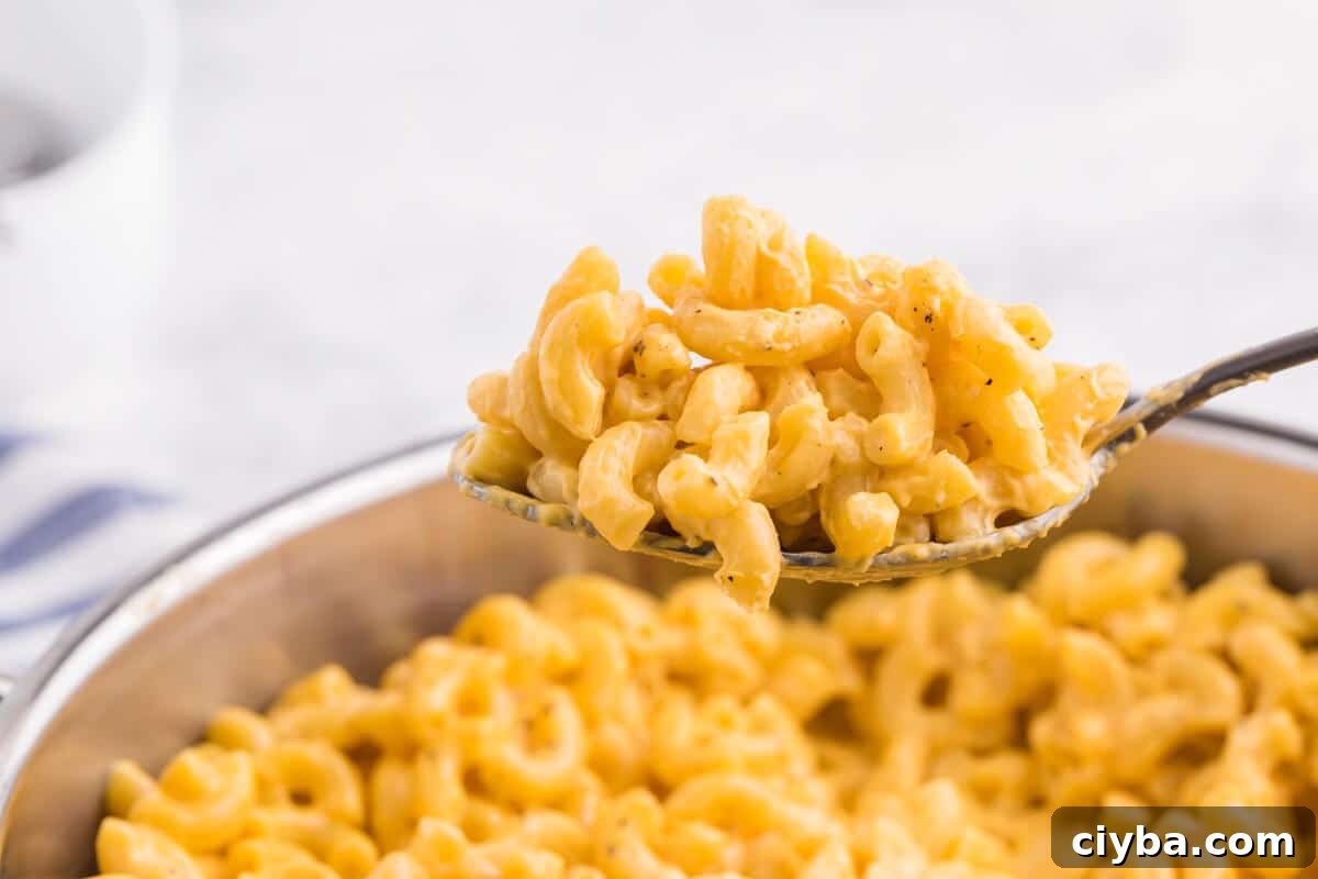 Creamy Stovetop Mac and Cheese Recipe in 20 Minutes 7 A serving spoon with mac and cheese.