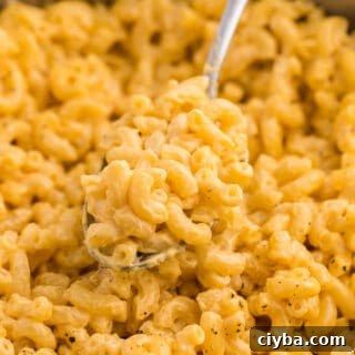 Creamy Stovetop Mac and Cheese Recipe in 20 Minutes 9 Stovetop Mac & Cheese