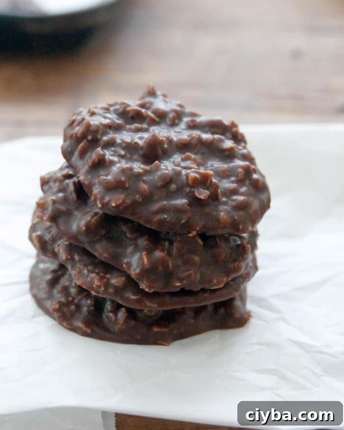 Chocolate No Bake Cookies made with peanut butter, oatmeal and cocoa, an easy treat without turning on the oven.