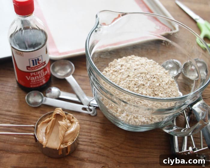 peanut Butter, Oatmeal and vanilla extract