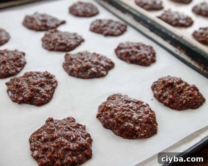 Chocolate No Bake Cookies made with peanut butter, oatmeal and cocoa, an easy treat without turning on the oven.
