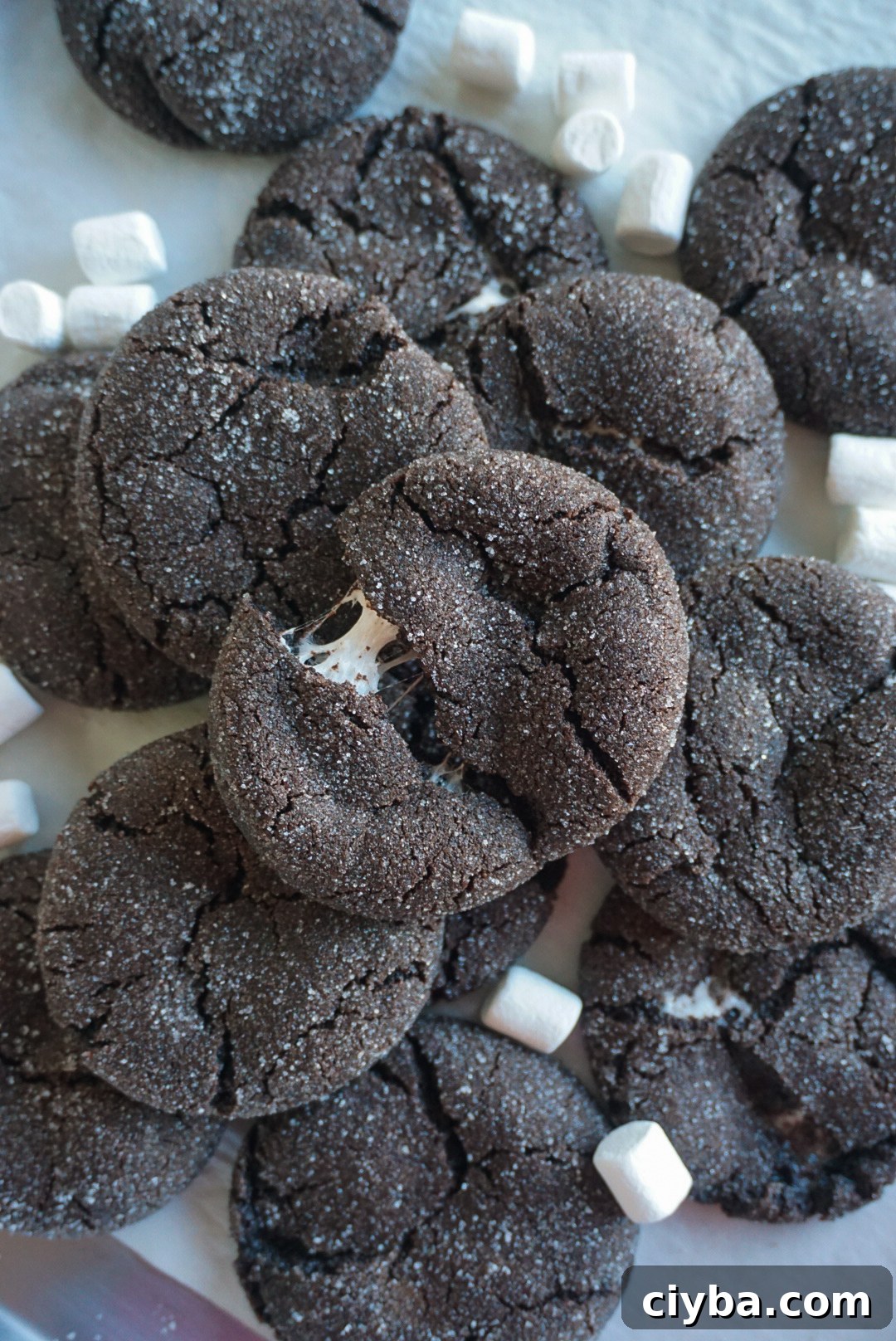 Hot Chocolate Cookies with Gooey Marshmallow Centres