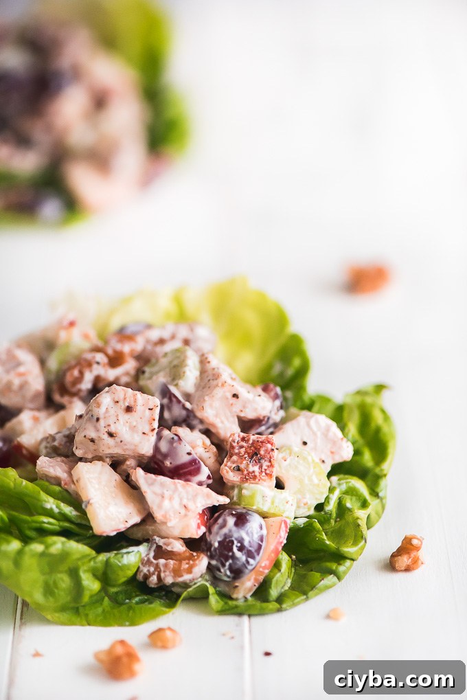 Close up of Chicken Waldorf Salad on a leaf of Boston lettuce.