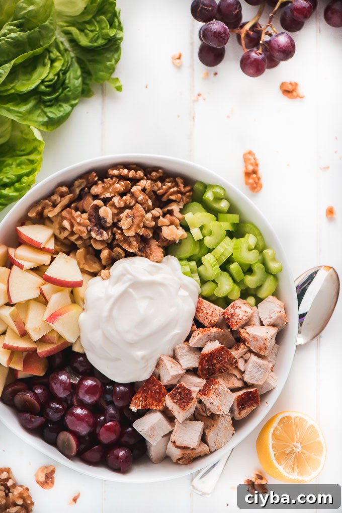 Chicken Waldorf Salad in a bowl showing all ingredients- chicken, walnuts, celery, apples, grapes, and dressing.