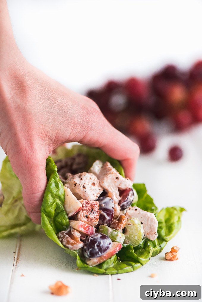Picking up a leaf of lettuce filled with Chicken Waldorf Salad.