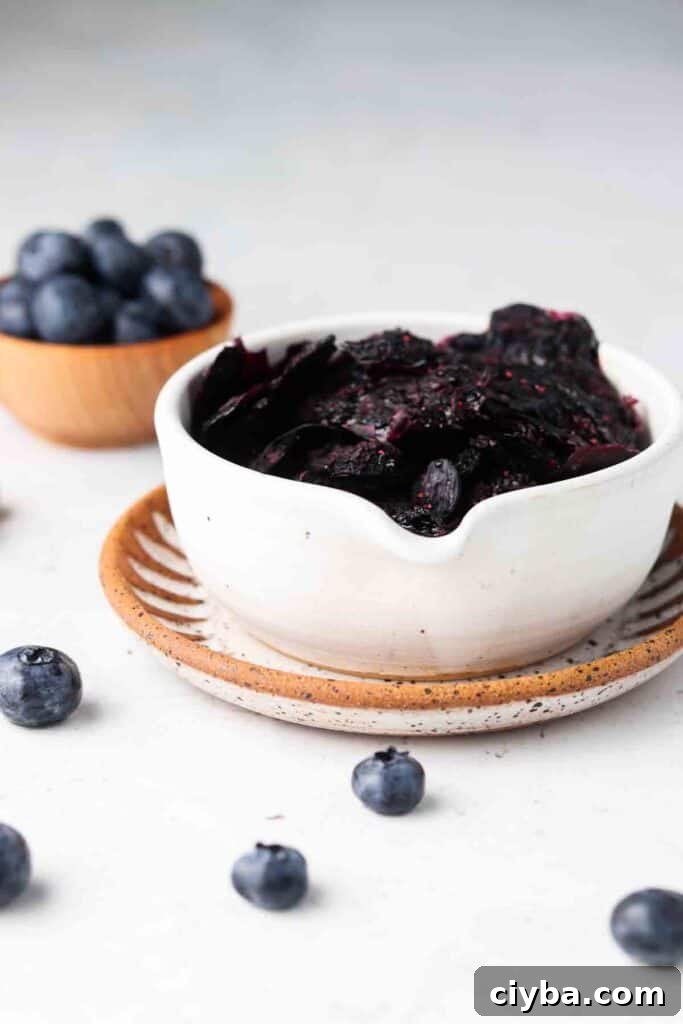 dehydrated blueberries in a bowl