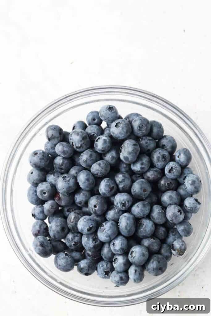 blueberries in a bowl