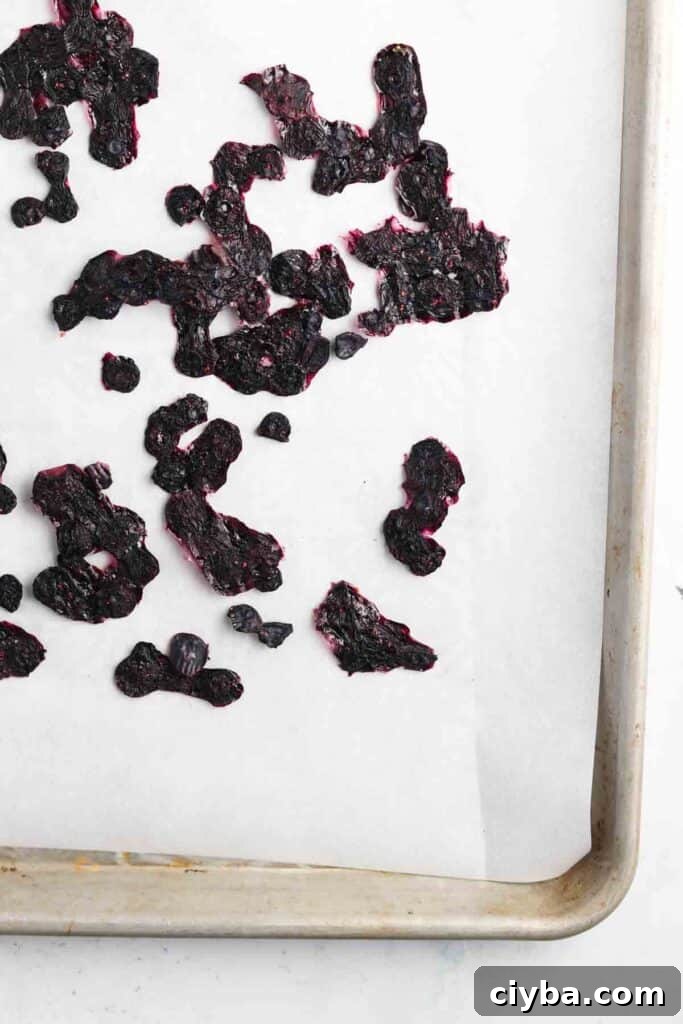 dehydrated blueberries on a sheet pan