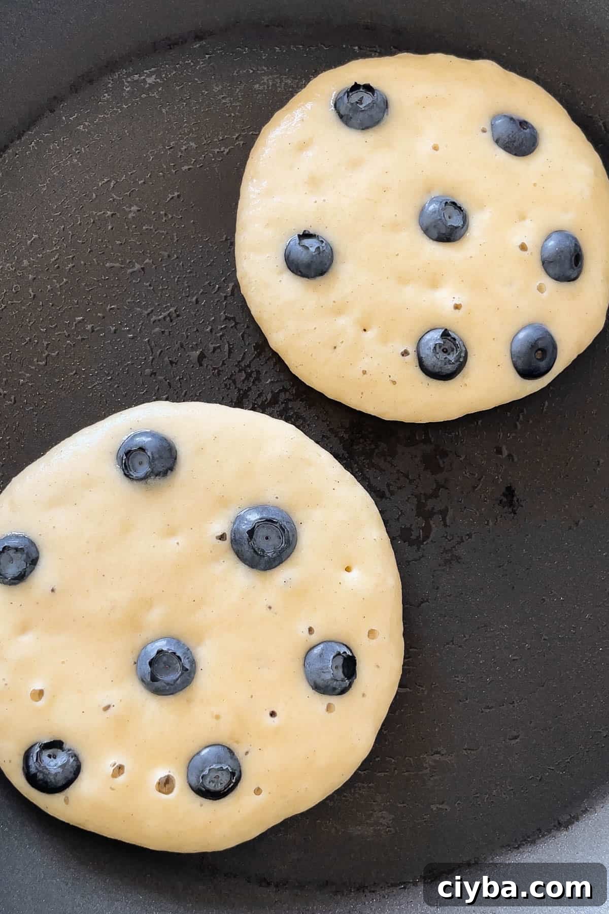 Process shot of 6-8 fresh blueberries added to each pancake on the griddle.