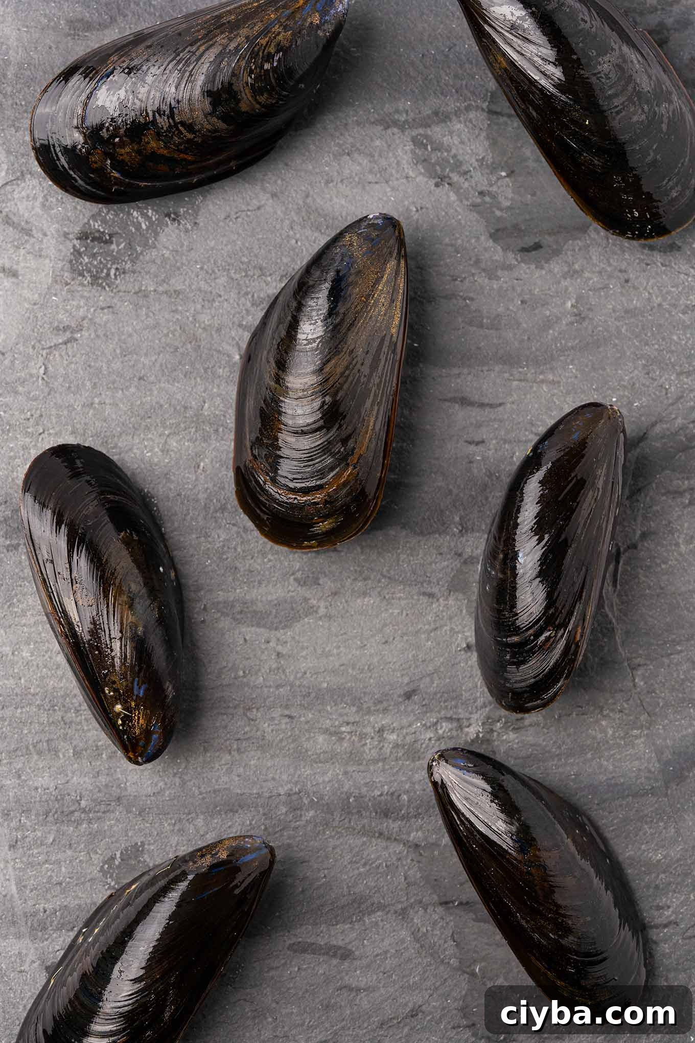 Italian-Style Steamed Mussels with Garlic, White Wine, and Herbs 3 Fresh, uncooked mussels arranged on a slate board,.