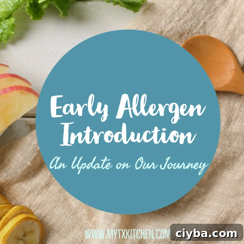 Early Allergen Introduction 6 Month Baby Food