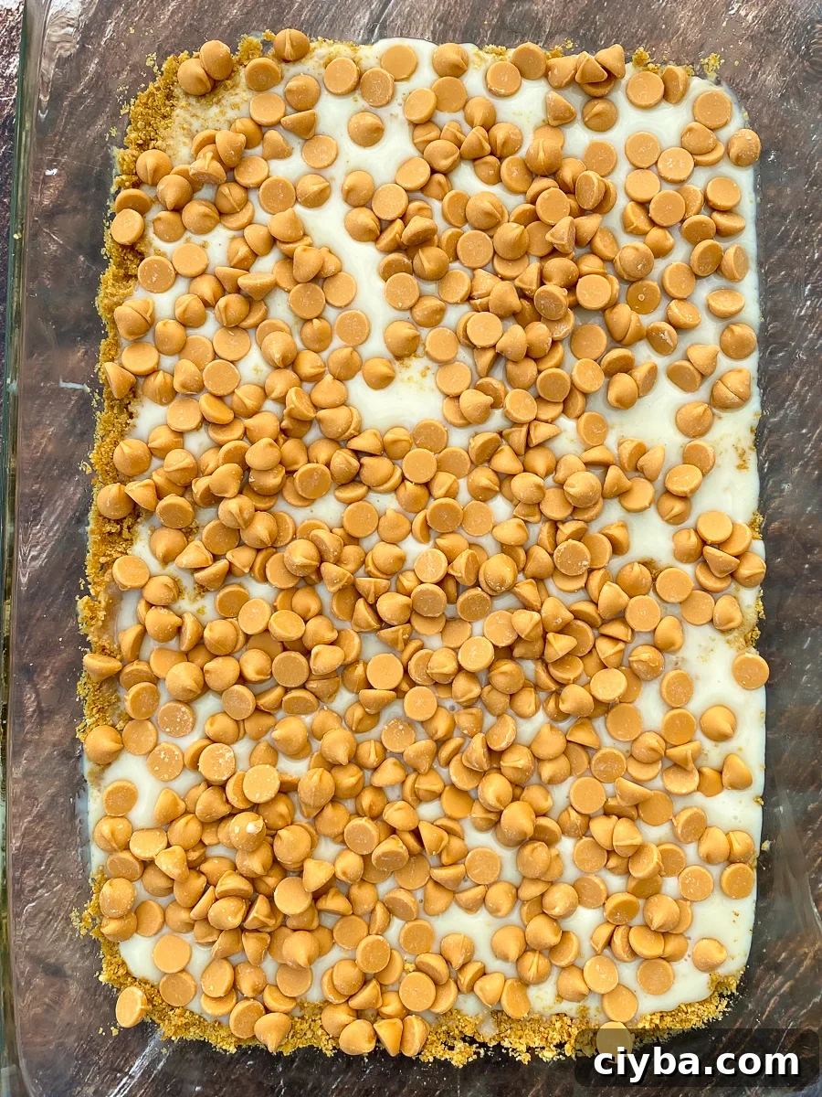 Eagle brand sweetened condensed milk poured over graham cracker crust and butterscotch chips sprinkled on top