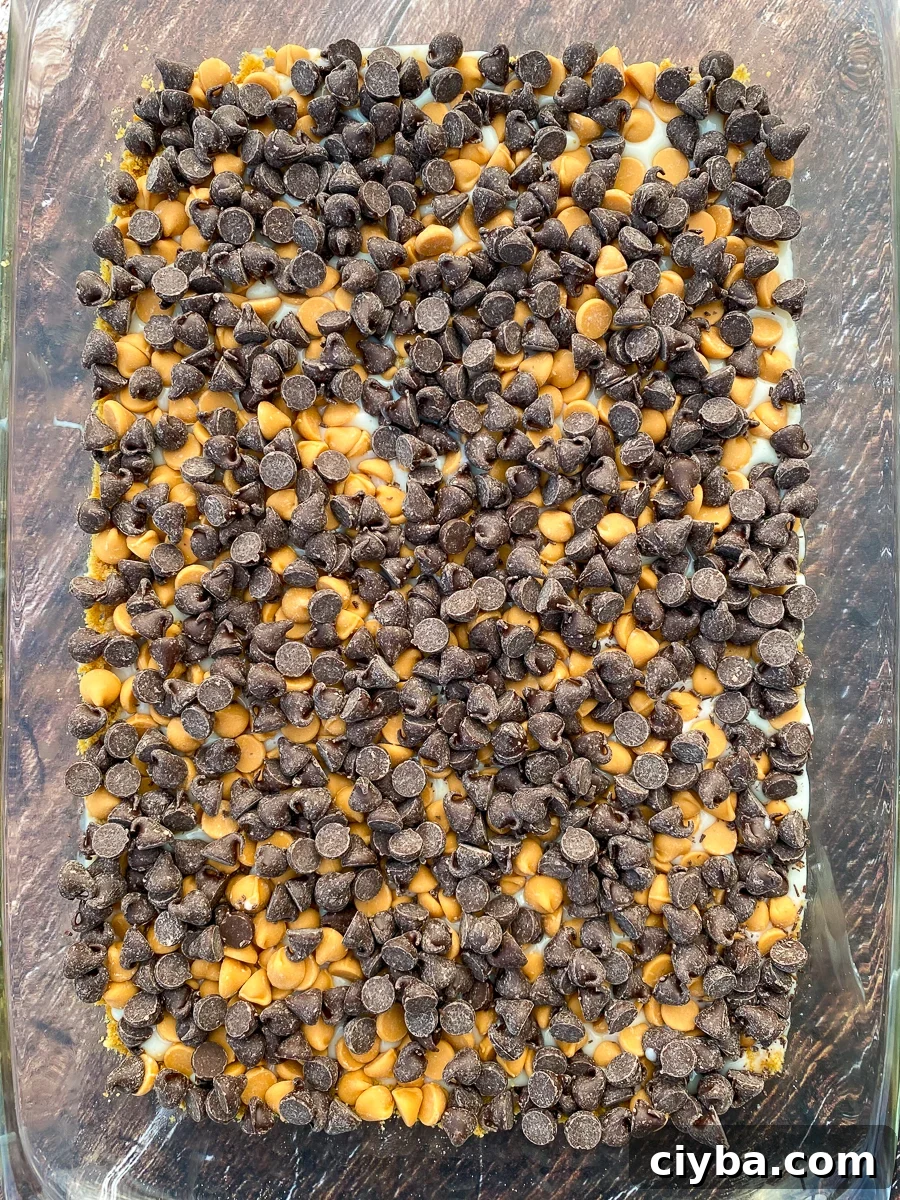 Semi sweet chocolate chips sprinkled on seven layer magic cookie bars