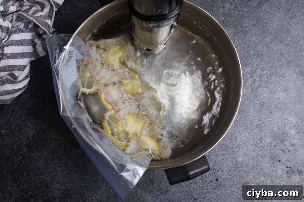 Sous vide cooking halibut in a water bath.