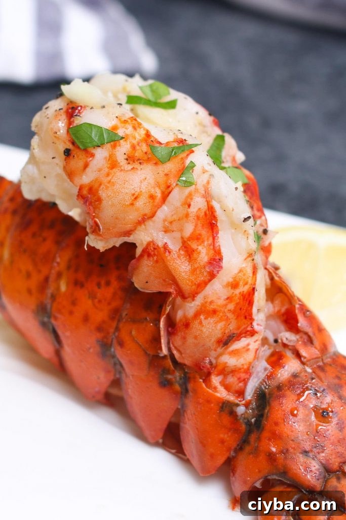 Sous Vide Lobster Tails