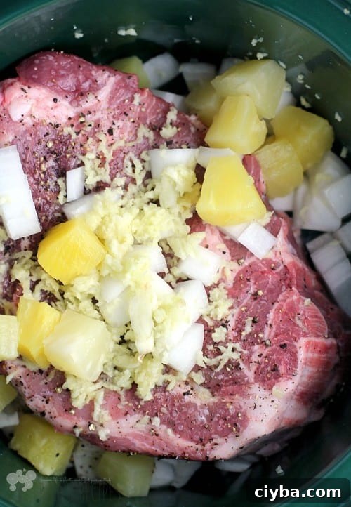 Pineapple Pulled Pork over Coconut Rice from EricasRecipes.com