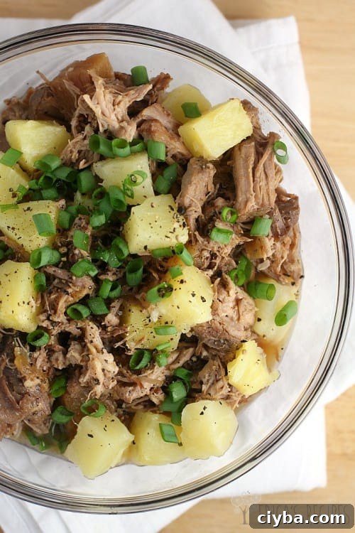 Pineapple Pulled Pork over Coconut Rice from EricasRecipes.com
