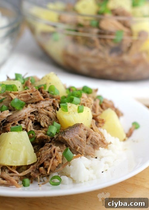 Pineapple Pulled Pork over Coconut Rice from EricasRecipes.com