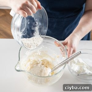 Bublanina Baking Masterclass: Techniques, Tips & Recipe Guide 18 img 127907 17