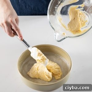 Bublanina Baking Masterclass: Techniques, Tips & Recipe Guide 21 img 127907 20
